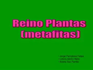 Reino Plantas (metafitas)