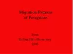 Migration Patterns of Peregrines - slide 1