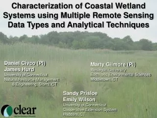 Characterization of Coastal Wetland Systems using Multiple Remote Sensing Data Types and Analytical Techniques