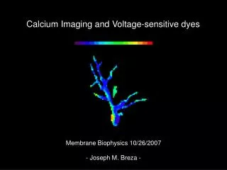 Calcium Imaging and Voltage-sensitive dyes