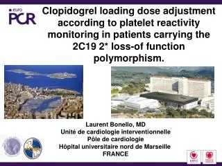 Clopidogrel loading dose adjustment according to platelet reactivity monitoring in patients carrying the 2C19 2* loss-of