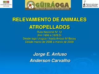 Jorge E. Anfuso Anderson Carvalho