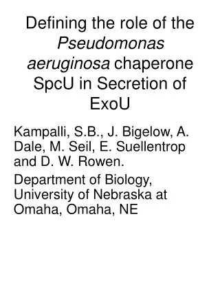Defining the role of the Pseudomonas aeruginosa chaperone SpcU in Secretion of ExoU