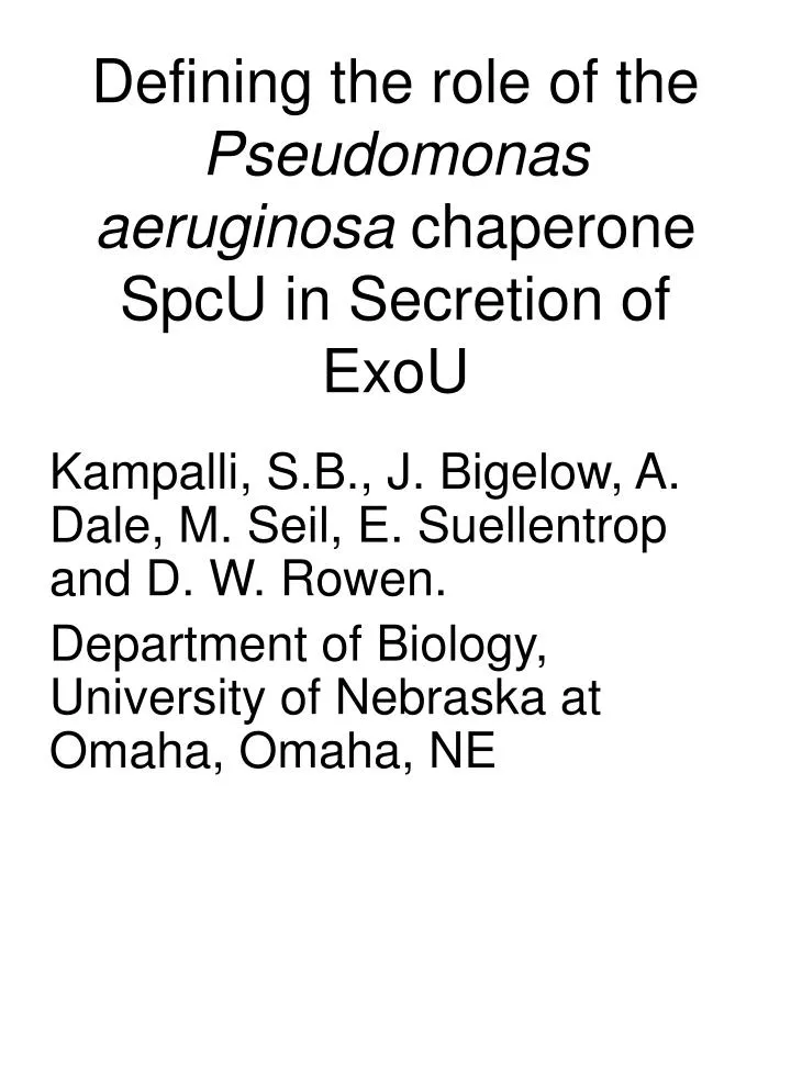 defining the role of the pseudomonas aeruginosa chaperone spcu in secretion of exou