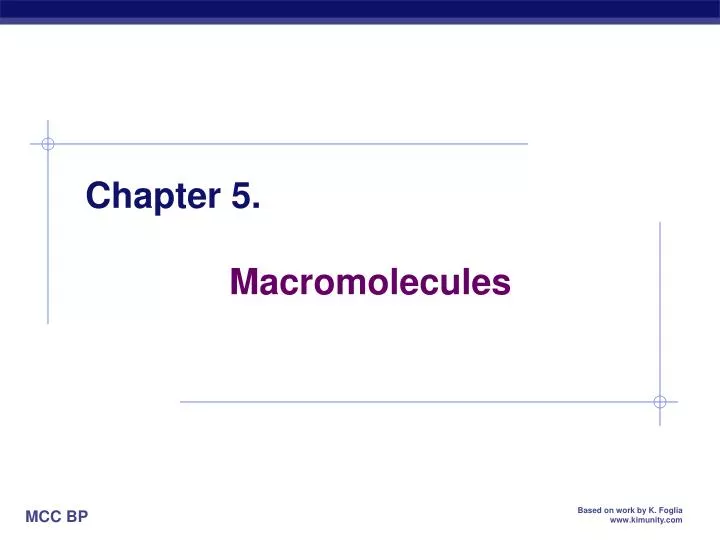 chapter 5 macromolecules