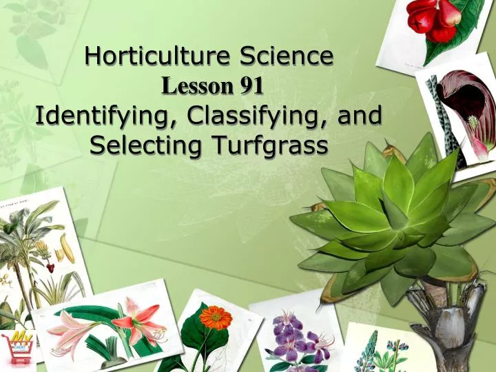 horticulture science lesson 91 identifying classifying and selecting turfgrass