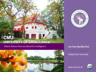 มหาวิทยาลัยเชียงใหม่ Chiang Mai University www.cmu.ac.th