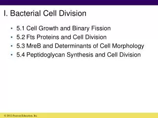 I. Bacterial Cell Division