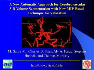 A New Automatic Approach for Cerebrovascular 3-D Volume Segmentation with New MIP-Based Technique for Validation