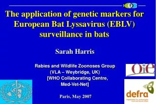 The application of genetic markers for European Bat Lyssavirus (EBLV) surveillance in bats