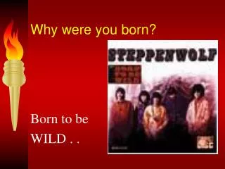 Why were you born?