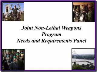 Joint Non-Lethal Weapons Program Needs and Requirements Panel