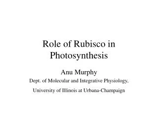 Role of Rubisco in Photosynthesis