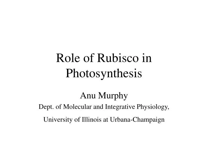 role of rubisco in photosynthesis