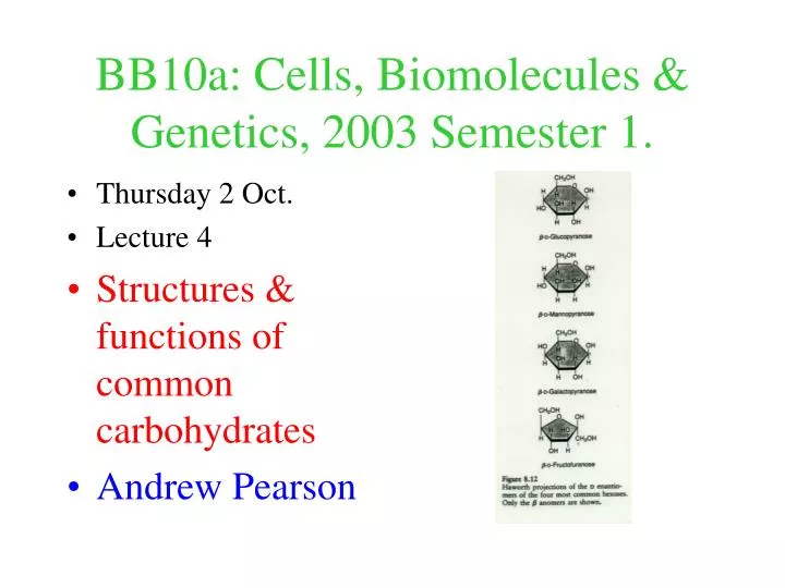 bb10a cells biomolecules genetics 2003 semester 1