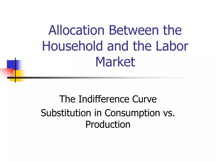 allocation between the household and the labor market