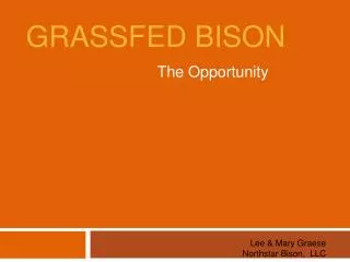 Grassfed Bison