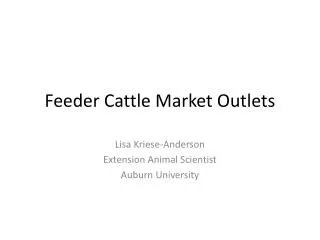 Feeder Cattle Market Outlets