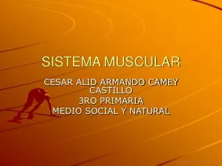 sistema muscular