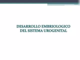 DESARROLLO EMBRIOLOGICO DEL SISTEMA UROGENITAL