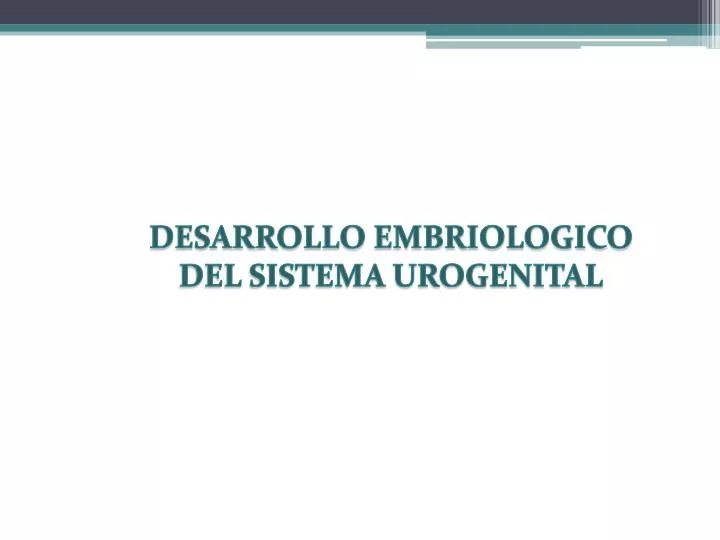 desarrollo embriologico del sistema urogenital