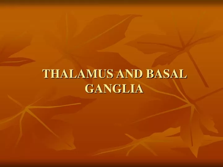thalamus and basal ganglia