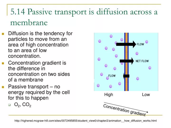 5 14 passive transport is diffusion across a membrane