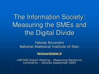 The Information Society: Measuring the SMEs and the Digital Divide