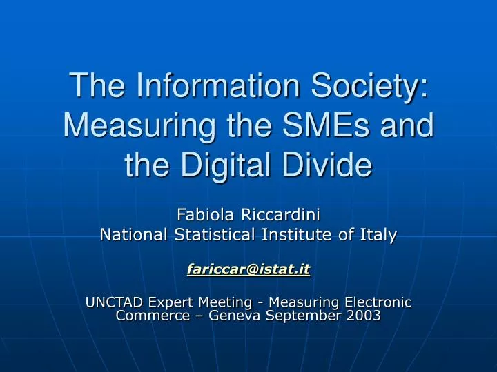 the information society measuring the smes and the digital divide