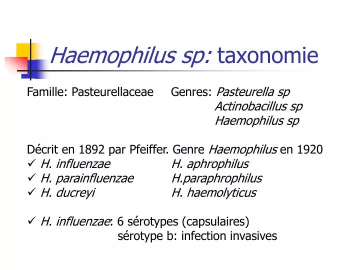 haemophilus sp taxonomie