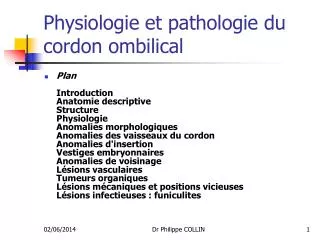 physiologie et pathologie du cordon ombilical