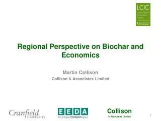 Regional Perspective on Biochar and Economics