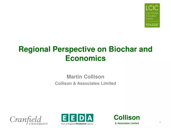 regional perspective on biochar and economics