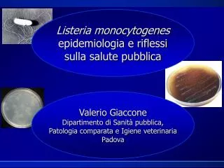 Listeria monocytogenes epidemiologia e riflessi sulla salute pubblica