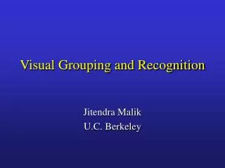 Visual Grouping and Recognition