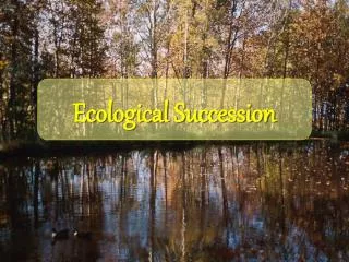 ecological succession