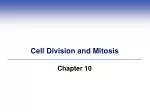 Cell Division and Mitosis - slide 1