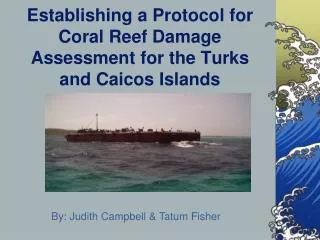 Establishing a Protocol for Coral Reef Damage Assessment for the Turks and Caicos Islands