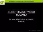 EL SISTEMA NERVIOSO HUMANO - slide 1