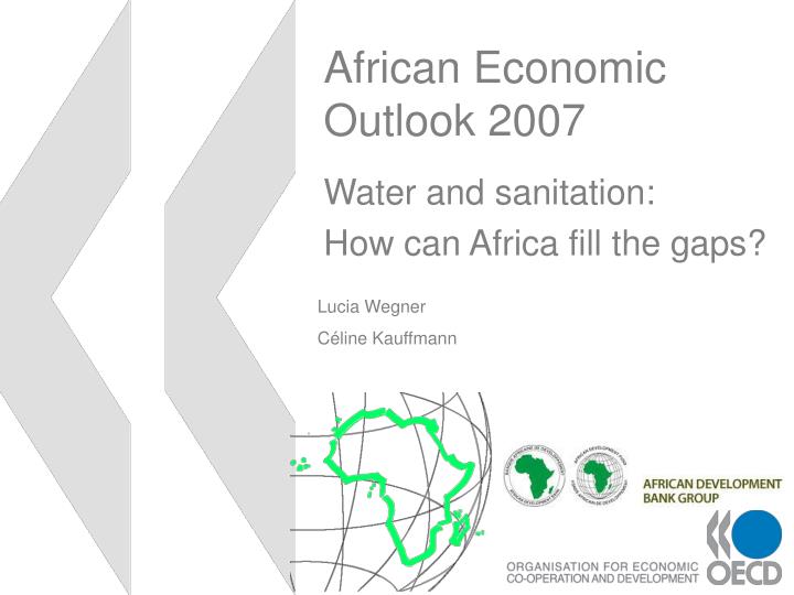 african economic outlook 2007