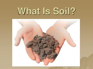 What Is Soil?