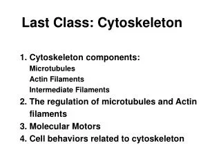 Last Class: Cytoskeleton 1. Cytoskeleton components: Microtubules Actin Filaments Intermediate Filaments 2. The regulat