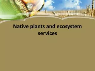 Native plants and ecosystem services