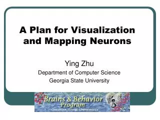 A Plan for Visualization and Mapping Neurons