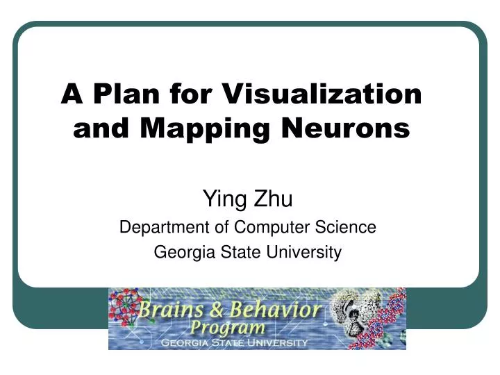 a plan for visualization and mapping neurons