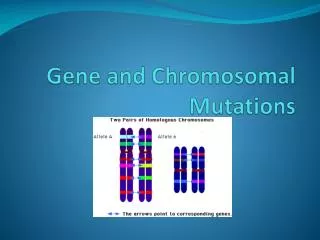 Gene and Chromosomal Mutations
