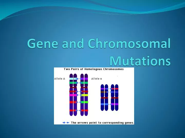 gene and chromosomal mutations