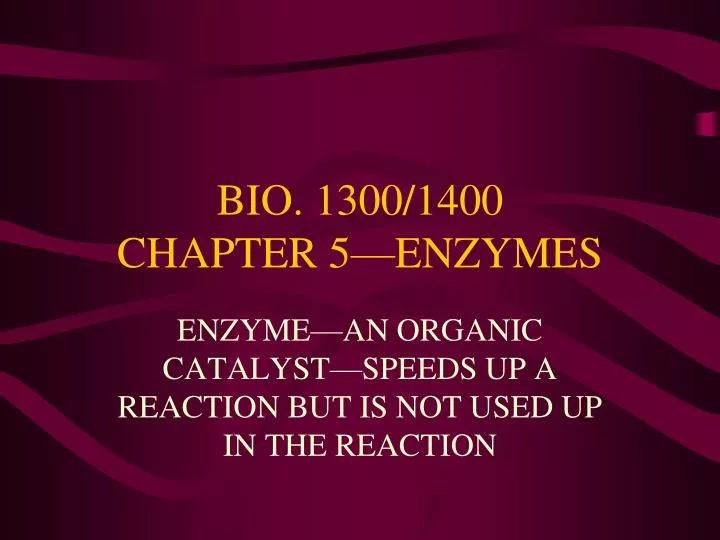 bio 1300 1400 chapter 5 enzymes