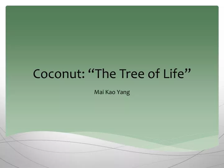 coconut the tree of life