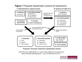 Cotter PD et al. (2006) What's in a name? Class distinction for bacteriocins Nature Reviews Microbiology 4 : 1 – 2 doi